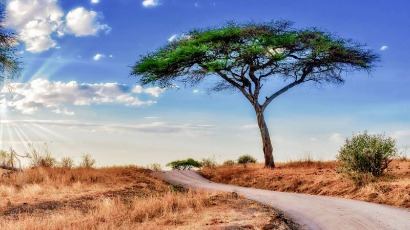renting a car in Namibia